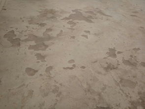 這個水泥地面為什么會出現(xiàn)這種坑坑洼洼呢 怎么辦呢修補好呢 謝謝各位網(wǎng)友嘍