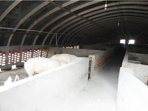 懷遠縣新星水泥制品廠
